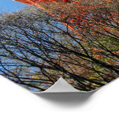 Tower, Japan Poster (Hoek)