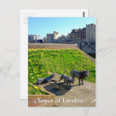 Tower of London, Engeland Briefkaart (Voorkant / Achterkant)