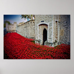 Tower of London Red Poppies England Verenigd Konin Poster