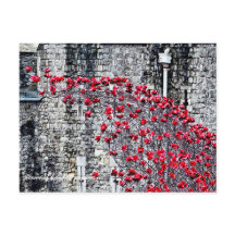 Tower van London Poppies