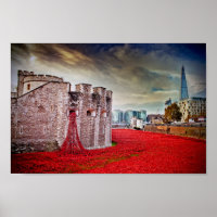 Tower van London Poppies Red Poppy
