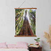 Towering Redwoods Hangend Wandkleed (Slaapkamer)