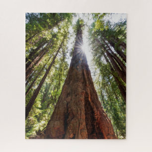 Towering Redwoods Legpuzzel