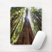 Towering Redwoods Muismat (Met muis)