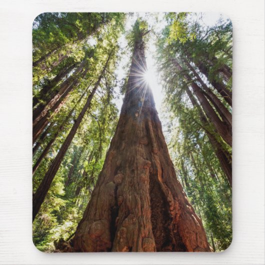 Towering Redwoods Muismat (Voorkant)