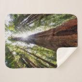 Towering Redwoods Sherpa Deken (Voorkant (horizontaal))