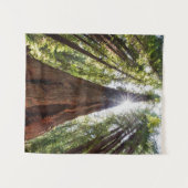 Towering Redwoods Wandkleed (Voorkant (horizontaal))