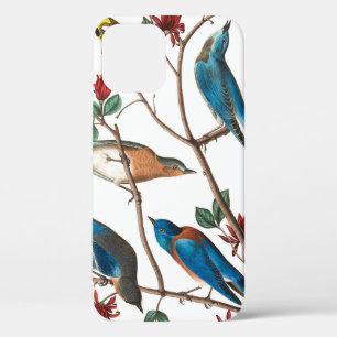 Townsend Warbler door John James Audubon iPhone 12 Hoesje