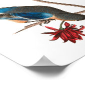 Townsend Warbler door John James Audubon Poster (Hoek)