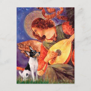 Toy Fox Terrier - Mandoline Engel Briefkaart