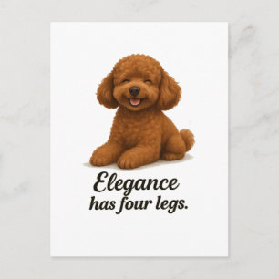 Toy Poodle – Elegantie Heeft Vier poten Briefkaart
