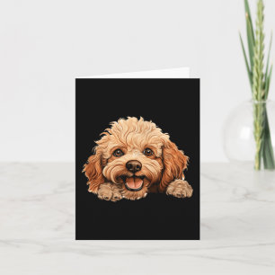 Toy Poodle Hond Moeder Vader Kijkende Puppy Kaart