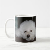 Toy Poodle Mok (Links)