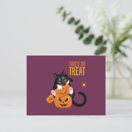 Trace ou Treat halloween Chat fun Carte postale (Debout devant)