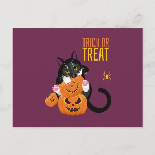 Trace ou Treat halloween Chat fun Carte postale (Devant)