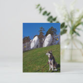 Tracker-hond Briefkaart (Staand voorkant)