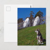 Tracker-hond Briefkaart (Voorkant / Achterkant)