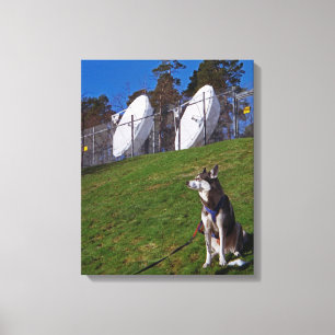 Tracker-hond Canvas Afdruk