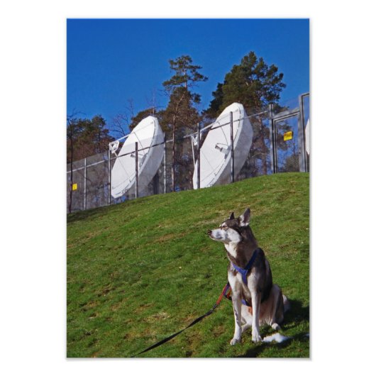 Tracker-hond Foto Afdruk (Voorkant)