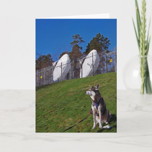 Tracker-hond Kaart (Voorkant)