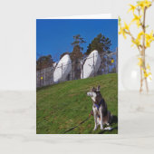 Tracker-hond Kaart (Gele Bloem)