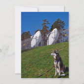 Tracker-hond Kaart (Voorkant)