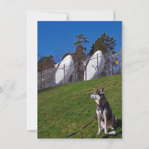 Tracker-hond Kaart