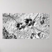 Tracks Poster (Voorkant)