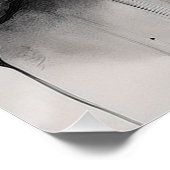 Traços Perfect Poster (Hoek)