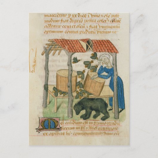 Tractatus de Herbis' Briefkaart (Voorkant)