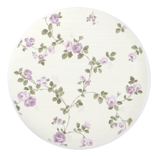 Tractions minables de boutons de tiroir de (Devant)