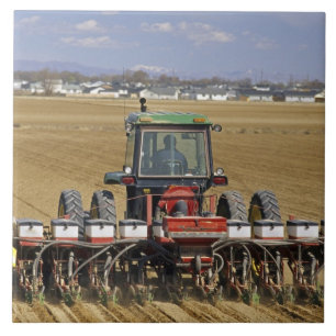 Tractor die een maiszaaimachine trekt. tegeltje