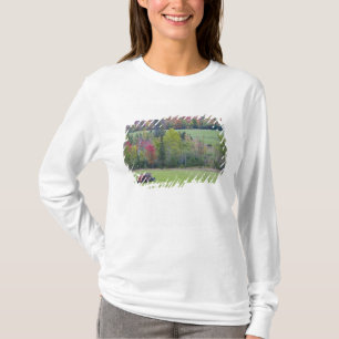 Tractor met hooibaal in groen veld met t-shirt