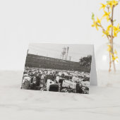 Tractoren Minneapolis-Moline: 1939 Kaart (Gele Bloem)