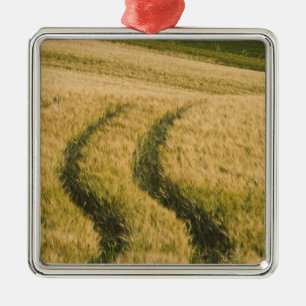 Tractorsporen door tarwe, Toscane, Italië Metalen Ornament