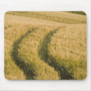 Tractorsporen door tarwe, Toscane, Italië Muismat