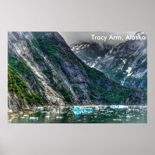 Tracy Arm, Alaska Poster (Voorkant)
