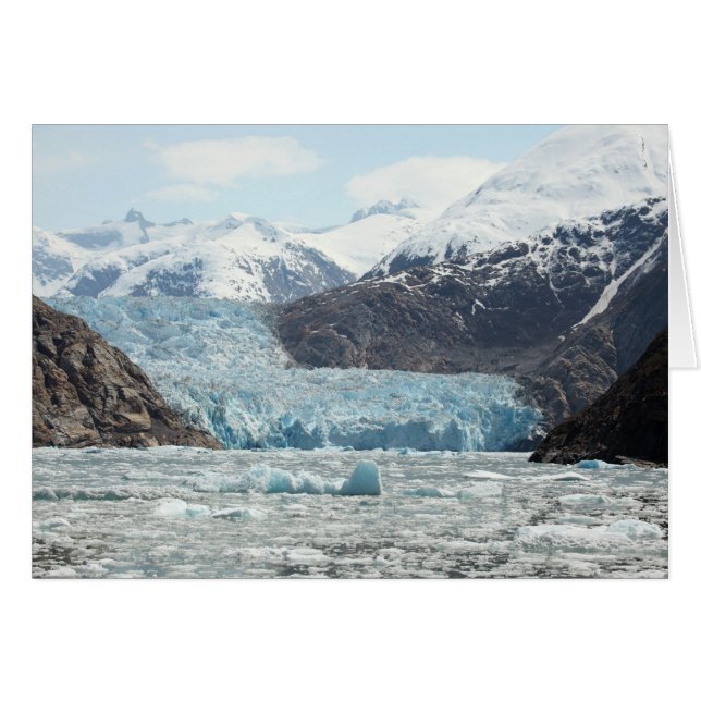 Tracy Arm Fjord (Voorkant Horizontaal)