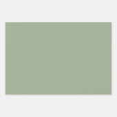 Traditioneel botanisch patroon - 3 ontwerp inpakpapier vel (Voorkant 2)