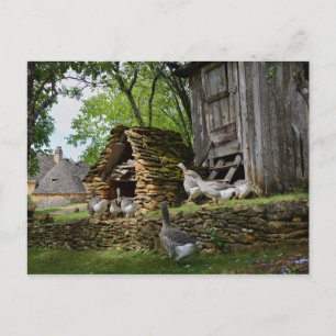 Traditioneel briefkaart van boerderij van hanen me