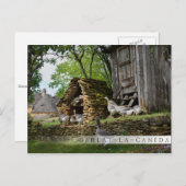 Traditioneel briefkaart van de boerderij van hanen (Voorkant / Achterkant)