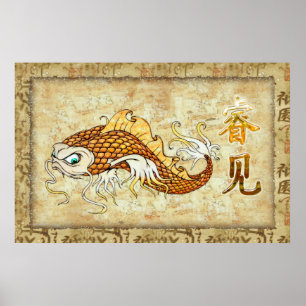Traditionele Chinese Catfish KENNIS Poster