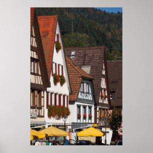 Traditionele Duitse woningen Poster