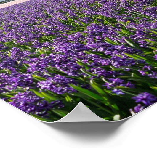 Traditionele en moderne windmolen in het poster va (Hoek)