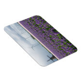 Traditionele en moderne windmolen in Holland magne Magneet (Rechterzijde)