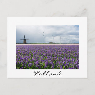 Traditionele en moderne windmolen, Nederlandse wit Briefkaart