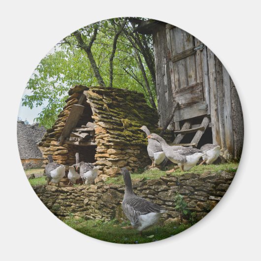 Traditionele foie gras ganzen boerderij ronde magn magneet (Voorkant)