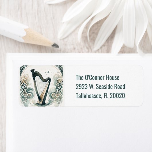 Traditionele Keltische harp St. Patrick's Day Part Etiket (Insitu)