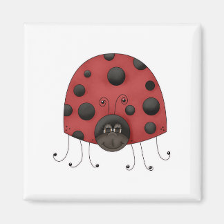 Traditionele Lady Bug Magneet