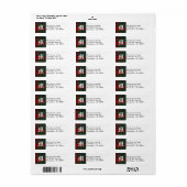 Traditionele MacLean Tartan Plaid Monogram Etiket (Full Sheet)